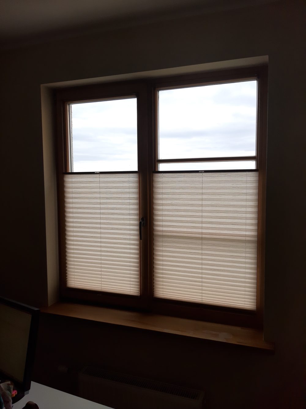 Krēmkrāsas plisētās žalūzijas uz lauku mājas panorāmas loga